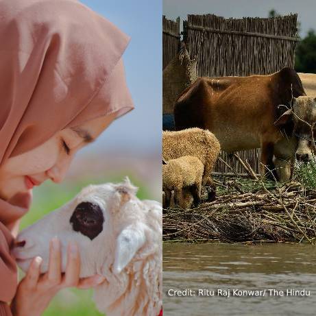 Animal welfare and Disaster Management 